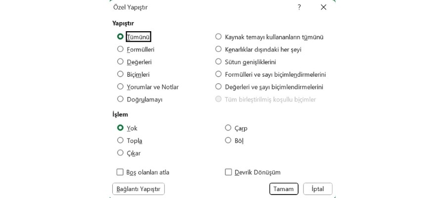 Özel Yapıştır Penceresi