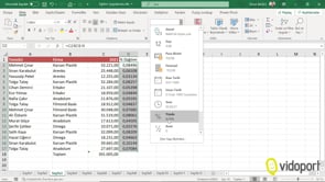 Excel Tablolarında yüzde dağılımları bulmak
