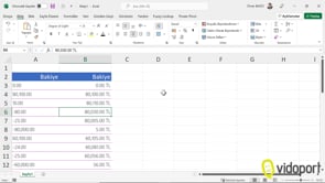 Excel'de Rakamlarda Nokta Virgül Değişimi Yapmak