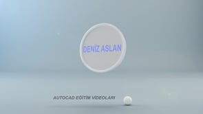 1. Kat Aks ve Kolonları Çizmek