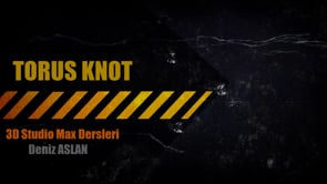 Torus Knot Nesnesi