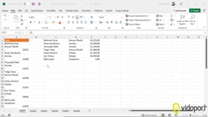 Excel 365 SATIRLARISAR Formülü