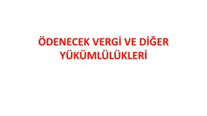 Kısa Vadeli Yabancı Kaynaklar-3