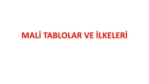 Mali Tablolar ve İlkeleri