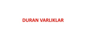 Duran Varlıklar-1