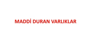 Duran Varlıklar-4