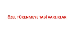 Duran Varlıklar- 6