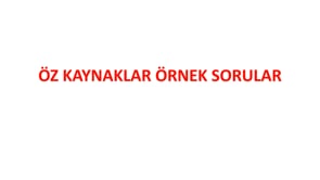 Öz Kaynaklar Örnek Sorular