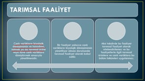 Tarımsal Faaliyetler