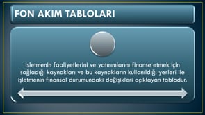Yardımcı (Ek) Mali Tabloların Özellikleri