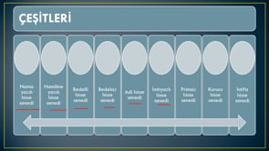 Menkul Kıymetler Kavramı