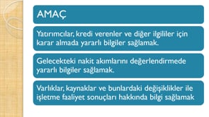 Mali Tablolar Amaçları Düzenlenmesi Sunulması