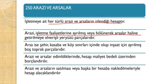 Duran Varlıklar -2