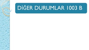 Diğer Durumlar 1003 B