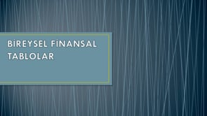 Bireysel Finansal Tablolar
