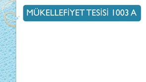 Mükellefiyet Tesisi 1003 A