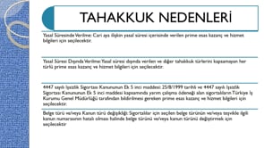 Beyannamenin Düzenlenmesi 3 1003 A