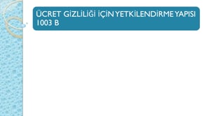 Ücret Gizliliği İçin Yetkilendirme Yapısı 1003 B