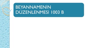 Beyannamenin Düzenlenmesi 1003 B