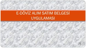 E-Döviz Alım-Satım Belgeleri