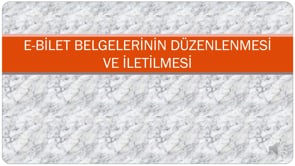 E-Bilet Belgelerinin Düzenlenmesi ve İletilmesi
