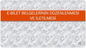 E-Bilet Belgelerinin Düzenlenmesi ve İletilmesi