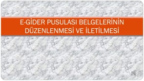 E-Gider Pusulası Belgelerinin Düzenlenmesi ve İletilmesi