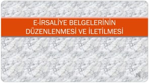 E-Serbest Meslek Makbuzu Belgelerinin Düzenlenmesi ve İletilmesi