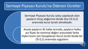Halka Arz Maliyetleri