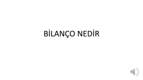 Bilanço Nedir? Bilanço Yapısı ve Önemi