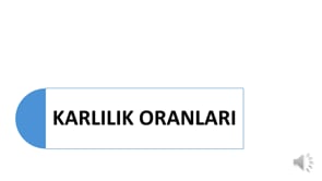 Karlılık Oranları