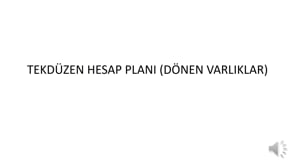 Tek Düzen Hesap Planı - Dönen Varlıklar