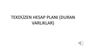 Tekdüzen Hesap Planı - Duran Varlıklar