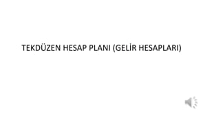 Tekdüzen Hesap Planı (Gelir Hesapları)