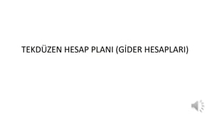 Tekdüzen Hesap Planı (Gider  Hesapları)