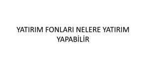 Yatırım Fonları Nerelere Yatırım Yapabilir?