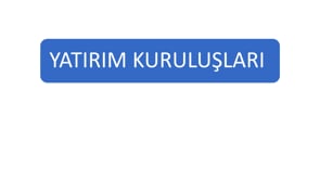 Yatırım Kuruluşları