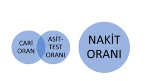 Likidite Oranları