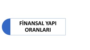 Finansal Yapı Oranları