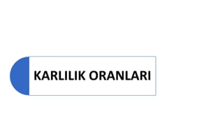 Karlılık Oranları
