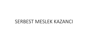 Serbest Meslek Kazancı