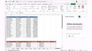 Yüzde Hesaplamalarını Copilot ile Yapmak
