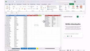 Düeşayara Formüllerini Copilot ile Kullanmak