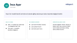 Fine Tuning (İnce Ayar) Nedir?