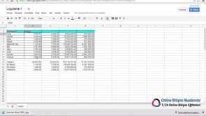 E-Tablolardaki Koşullu Biçimlendirmeleri Kaldırmak