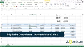 Ödeme vadelerini takip etmek için Excel Raporlama dosyası nasıl oluşturulur?