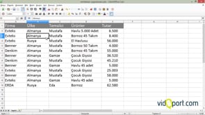 Listelerinizdeki başlıkları ve sütunları sabitlemek