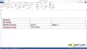 Tablolarda Form Seçenekleri İle Çalışmak