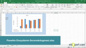 Seçenek düğmeleri ile grafikleri kullanmak