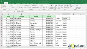 Text İşlevi ile Tarihlerin Gün, Ay yıllarını getirtmek